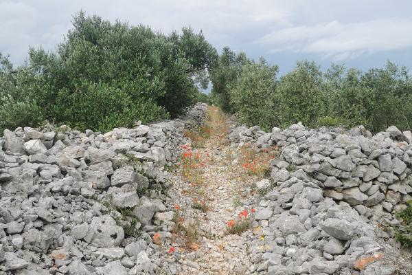 Ancient Greek Stone Wall (Agroter)