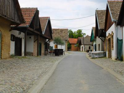Weinstraße in Zmajevac