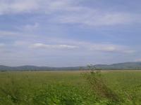Krbavsko polje
