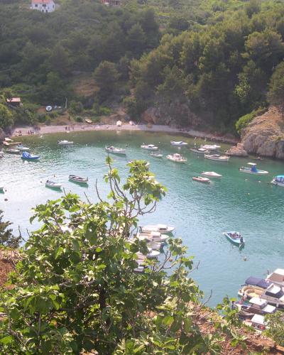 A high-angle view of a sheltered cove filled with numerous small boats and yachts, with a small pebble beach and parking area visible on the left shore, surrounded by green, hilly terrain.
