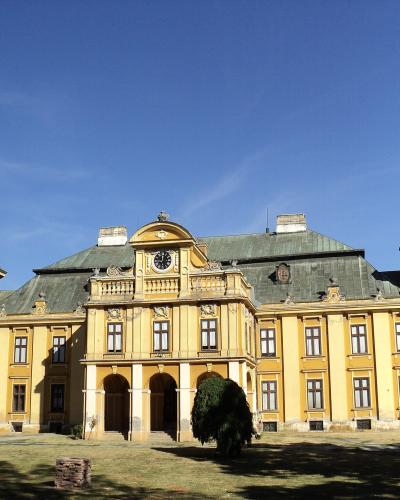 Dvorac Pejačević, Našice 02