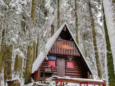A snow-covered wooden A-frame cabin in a dense forest, featuring a blue sign on the facade that reads "PLANINARSKI DOM JAVOROVA KOSA" and a wooden sign above it with similar text.