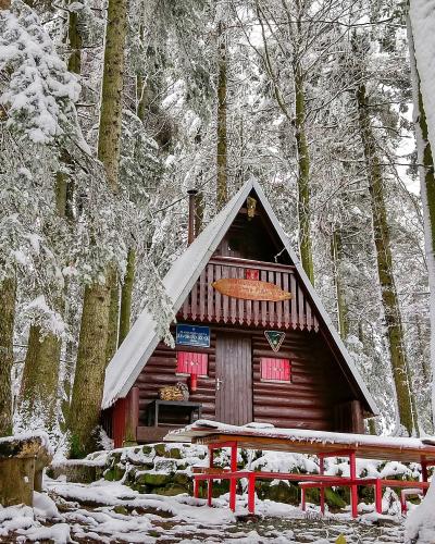 A snow-covered wooden A-frame cabin in a dense forest, featuring a blue sign on the facade that reads "PLANINARSKI DOM JAVOROVA KOSA" and a wooden sign above it with similar text.