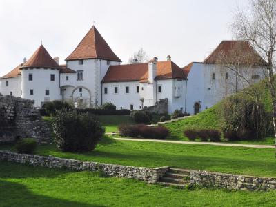 A wide shot of a large, white-walled castle complex with distinctive red-tiled conical roofs and towers, set on a grassy hill with stone ruins in the foreground.