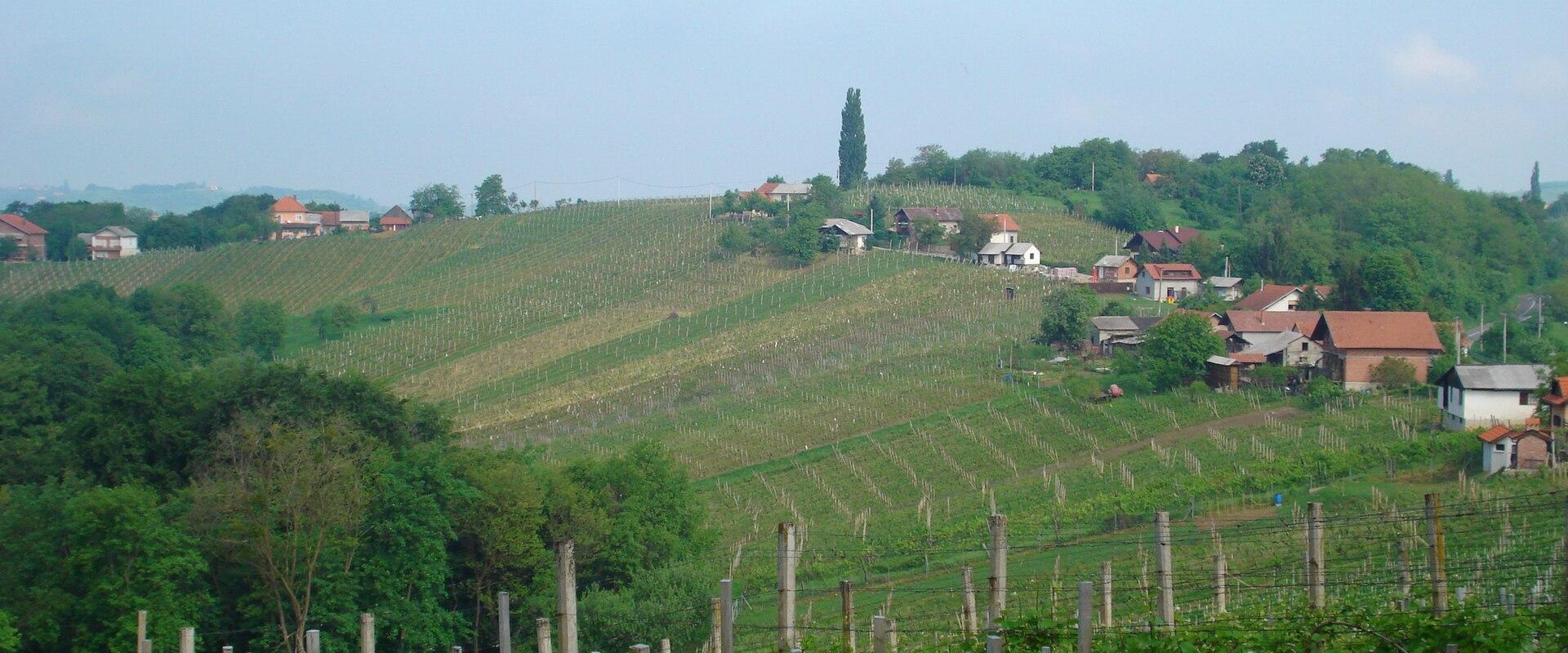 Lopatinec