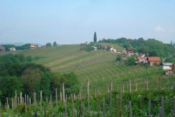 Lopatinec