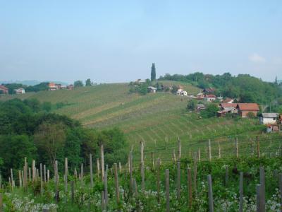 Lopatinec