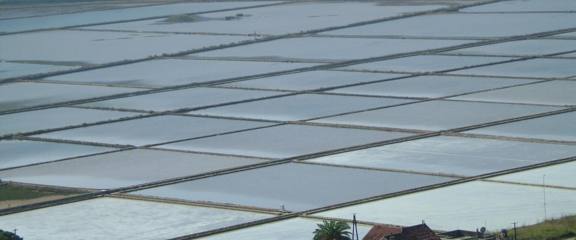 Ston Saltworks (Solana Ston)