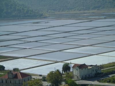 A high-angle view of extensive rectangular salt evaporation ponds separated by earthen dikes, with a few buildings featuring red-tiled roofs and palm trees in the foreground and a forested hill in the background.