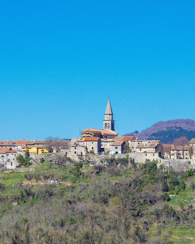 Old town Buzet, Croatia (52829694443)