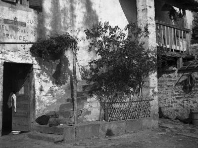 A black and white photograph showing the weathered facade of a stone house with a wooden door, a small fenced garden area with a tree, and faded political slogans painted on the wall.
