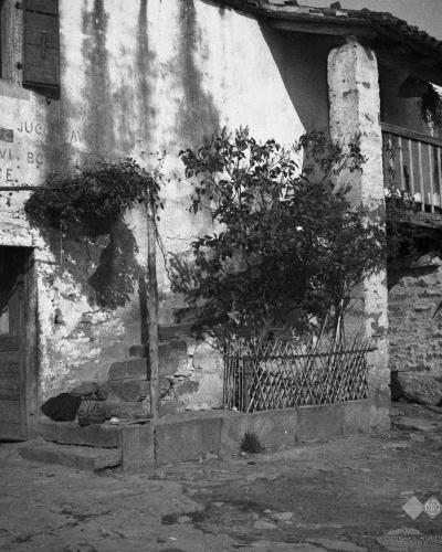 A black and white photograph showing the weathered facade of a stone house with a wooden door, a small fenced garden area with a tree, and faded political slogans painted on the wall.