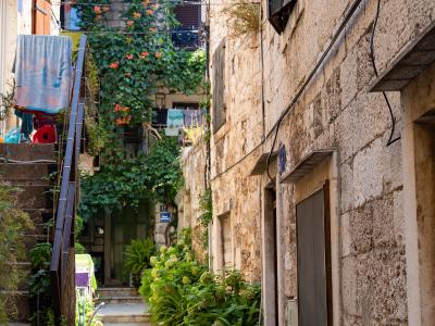 A narrow stone alleyway in a coastal town, featuring weathered limestone walls, a staircase with laundry hanging on the left, and abundant greenery and potted plants lining the path.