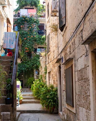 A narrow stone alleyway in a coastal town, featuring weathered limestone walls, a staircase with laundry hanging on the left, and abundant greenery and potted plants lining the path.