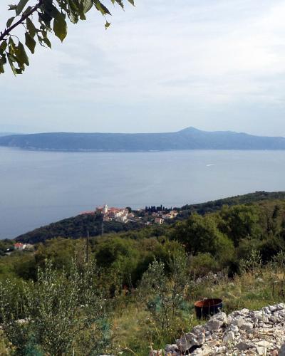 Grabrova, Moščenice Olive grove garden - panoramio