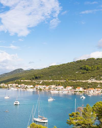 Yachts anchorage in Polace on Mljet island, Croatia (48738897976)