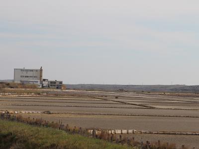 A wide landscape view of extensive, rectangular salt evaporation pans with wooden walkways and a large industrial building complex in the background under an overcast sky.