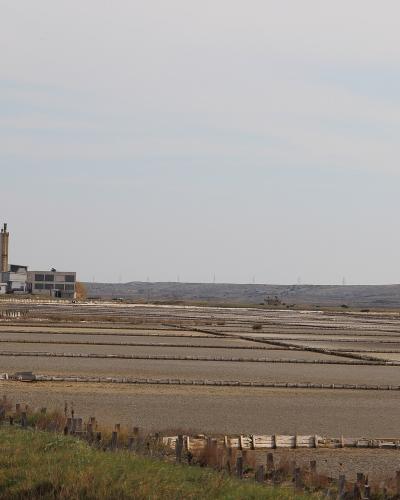 A wide landscape view of extensive, rectangular salt evaporation pans with wooden walkways and a large industrial building complex in the background under an overcast sky.